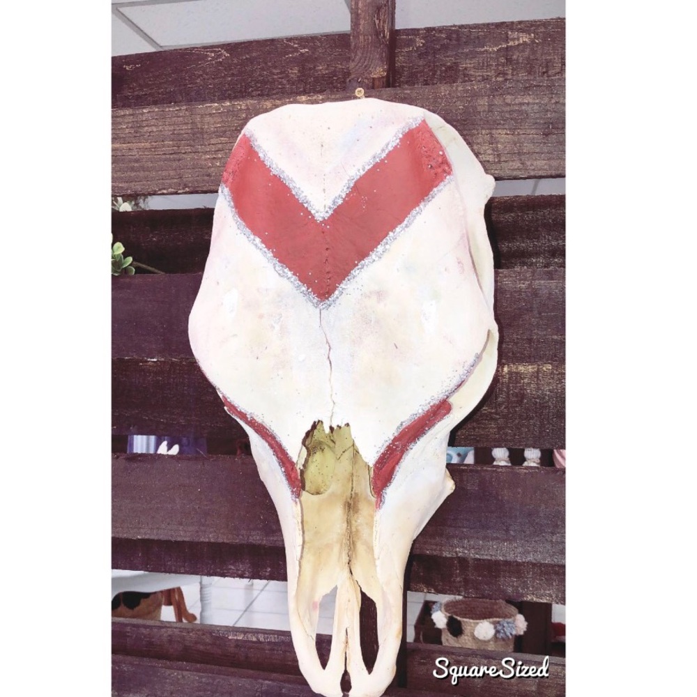 Cow Skull Decor